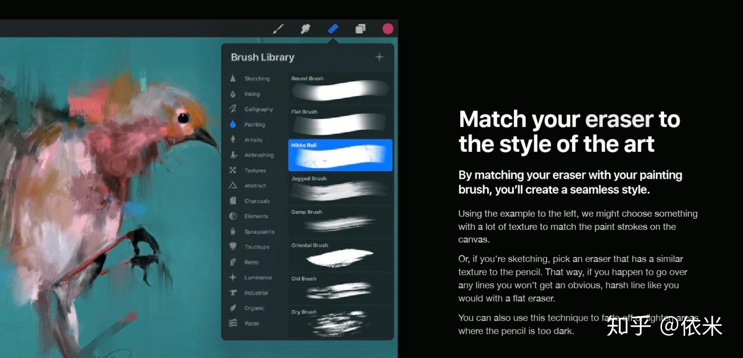 procreate擦除 —— erase 知乎
