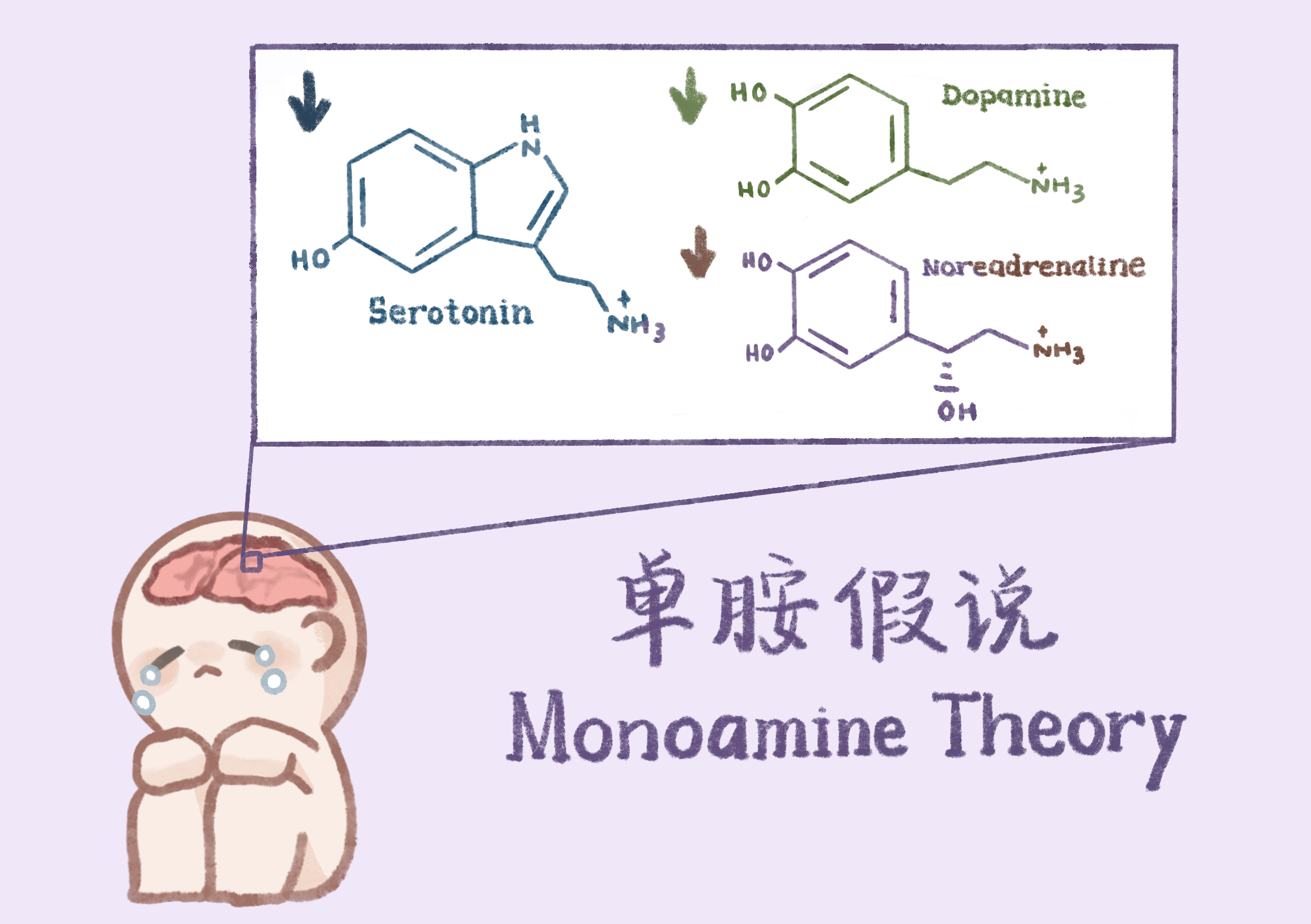 Blog#2【神经药理】抗抑郁药物01|单胺理论与三类单胺再摄取抑制剂 - 知乎