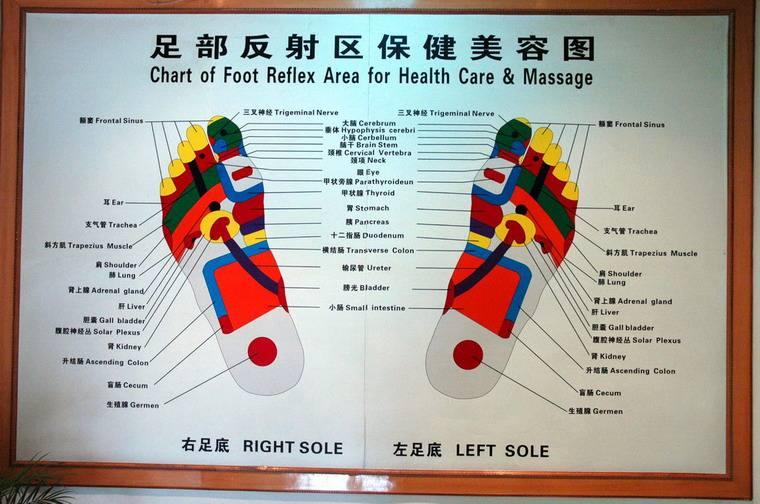 什么是足部反射区健康法 知乎 什么是足部反射区健康法 知乎