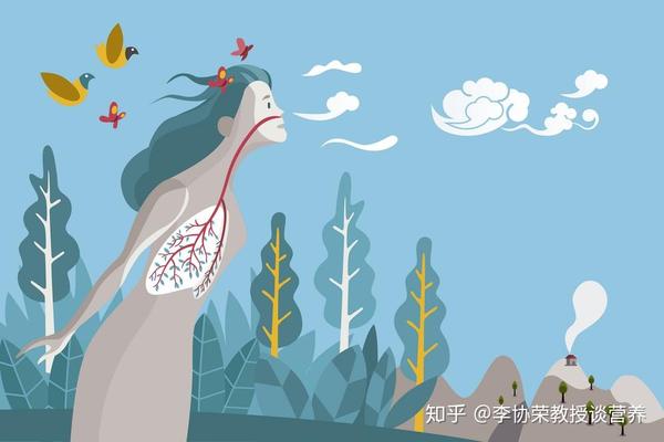 呼吸运动的原理 呼吸运动的原理10字 呼吸运动的过程与原理