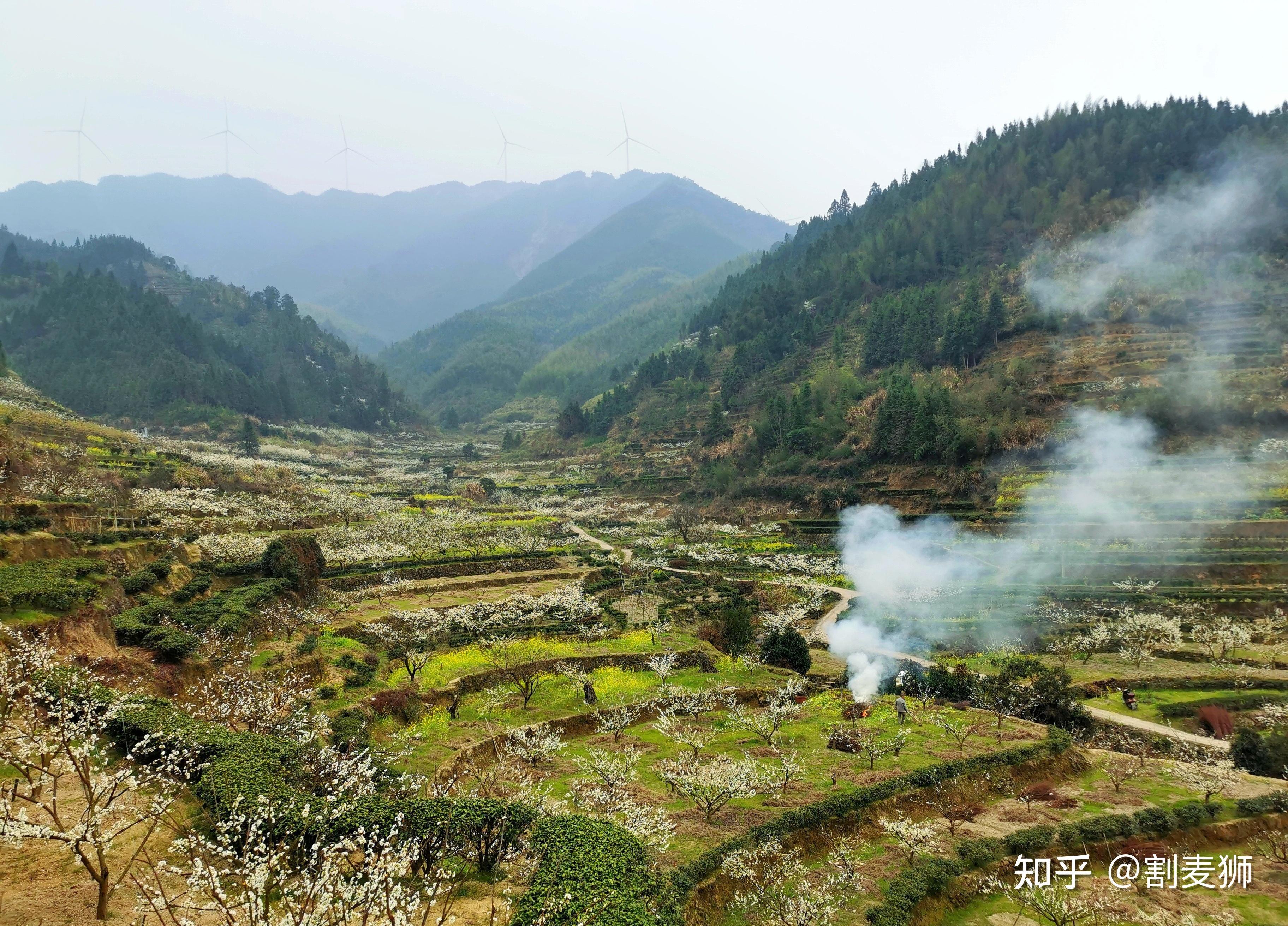 广东省乐昌市九峰镇赏桃花之旅