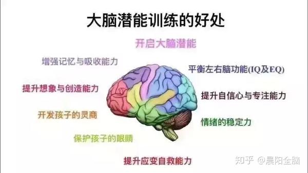 全脑开发大脑潜能是全球教育培训发展的趋势!