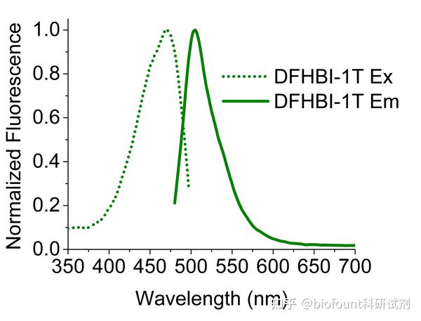 dfhbi-1t-rna