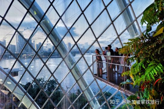新加坡滨海湾花园 - 知乎