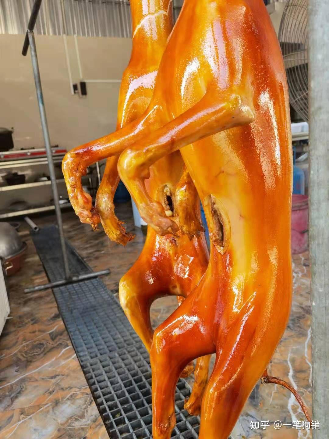 徽州宴老板娘的狗在这