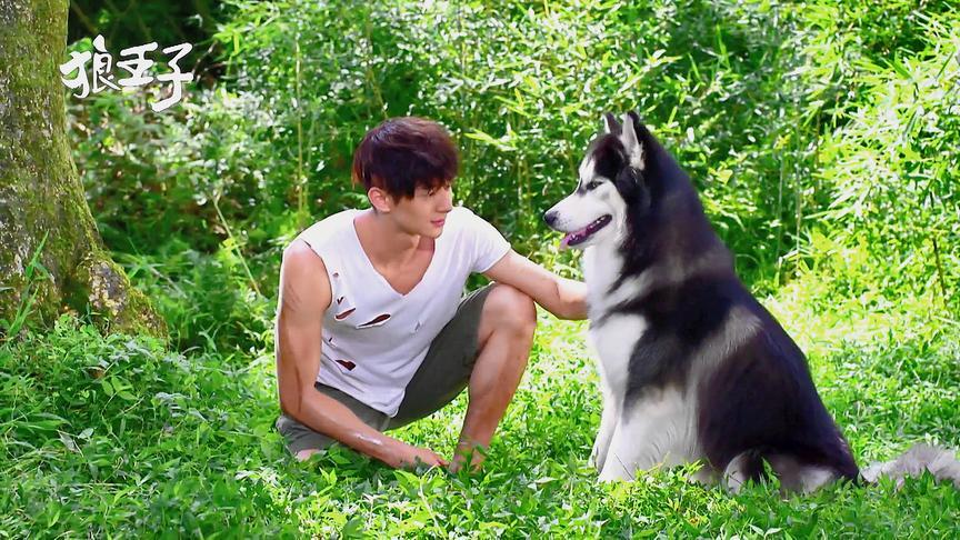 狼王子01女孩去男生家躲雨没想到他爸爸竟是一头狼太有趣了