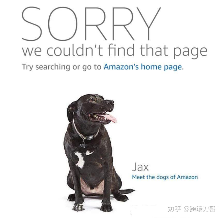 你的链接变狗啦亚马逊绝对不能碰的敏感词