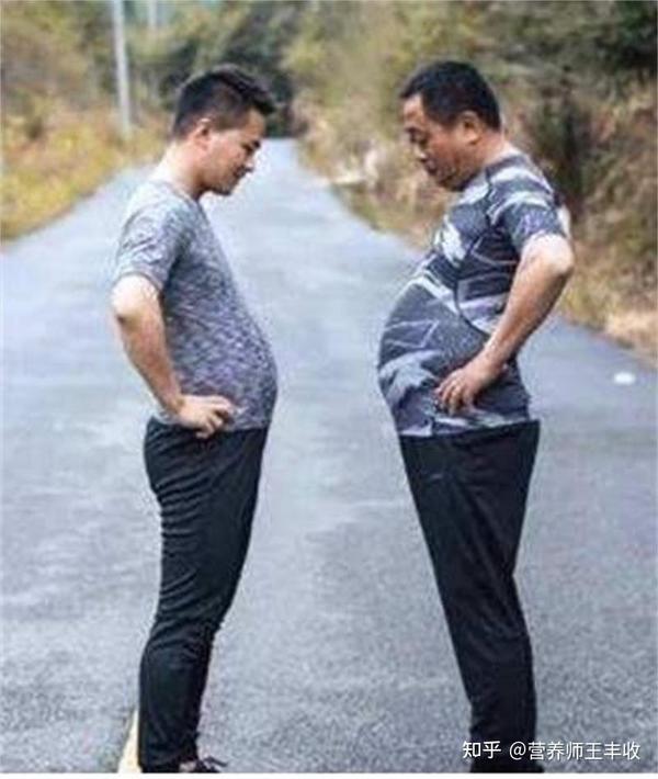中年男人的将军肚,除了脂肪,更主要的是什么? - 知乎