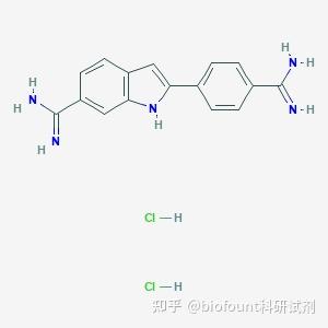 DAPI溶液(介绍,溶液配制,使用步骤) - 知乎
