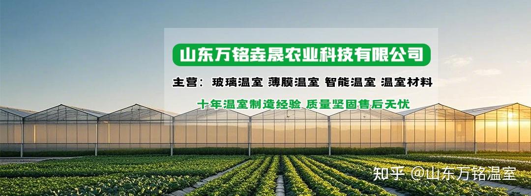 2025年乡村振兴设施农业亮点总结 - 知乎