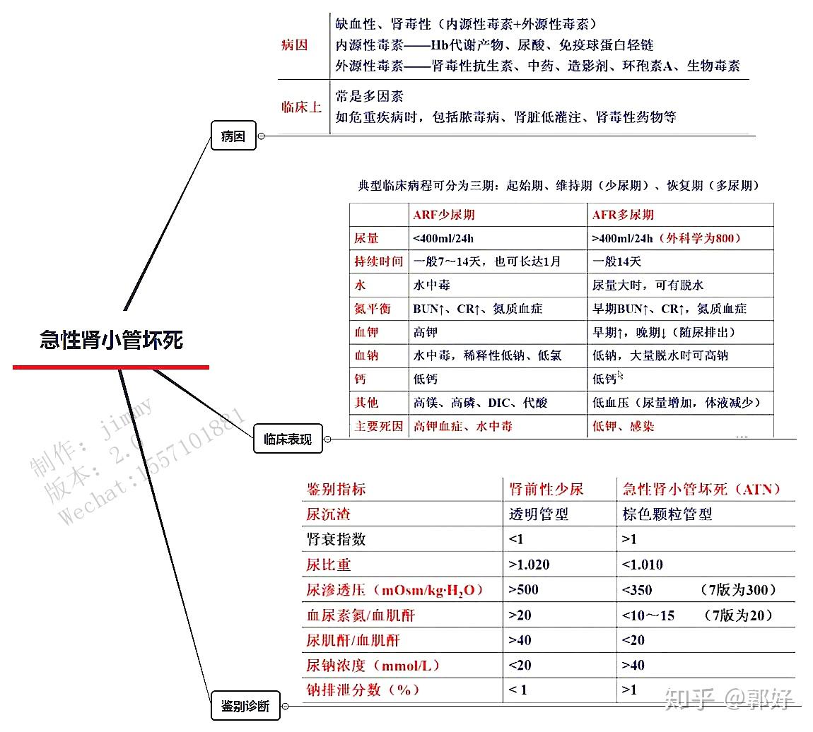 考研执业医师考试思维导图笔记内科学泌尿系统