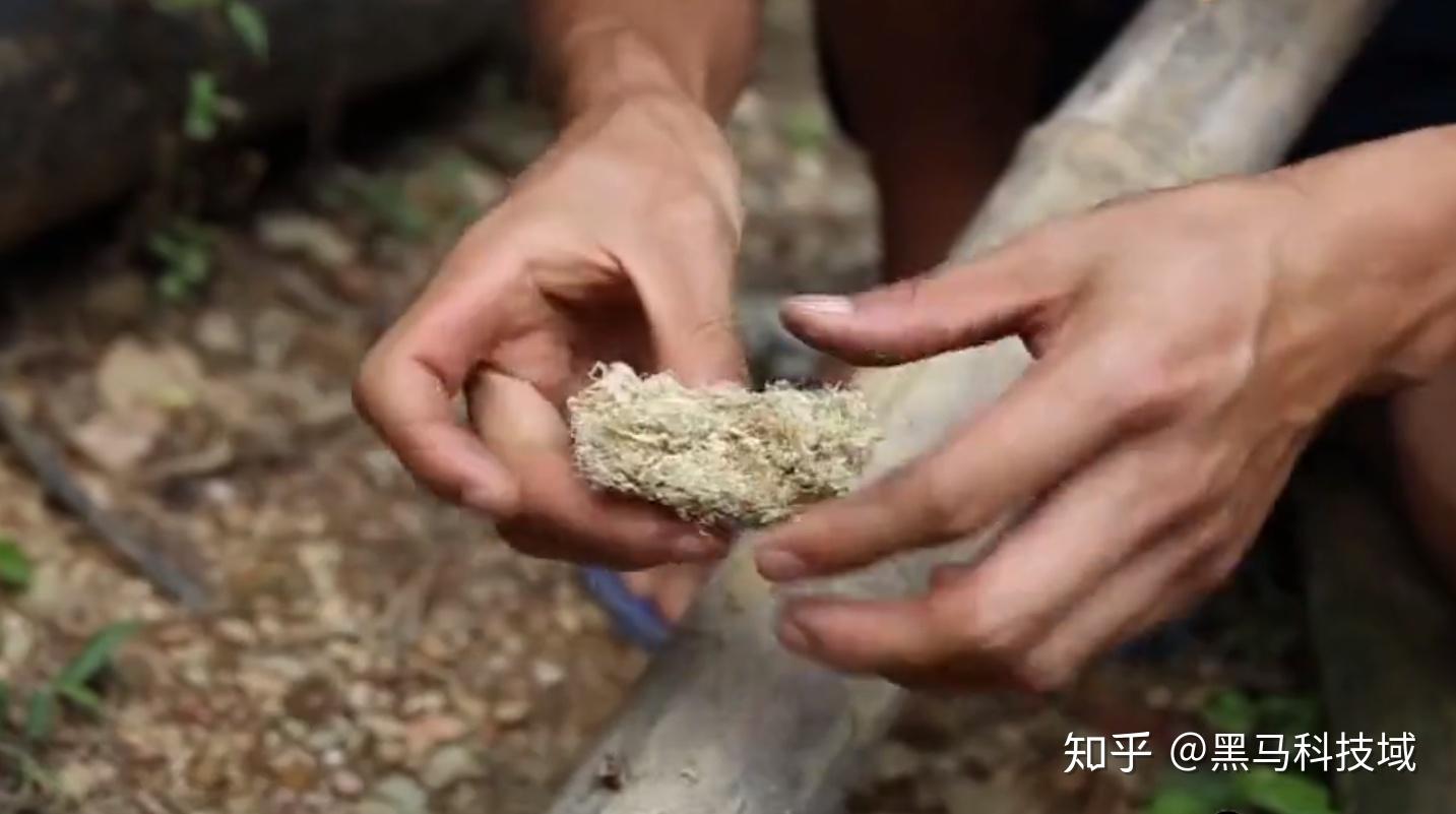 钻木取火真实可信吗？为什么屡屡遭遇质疑？实测取火告诉你 - 知乎