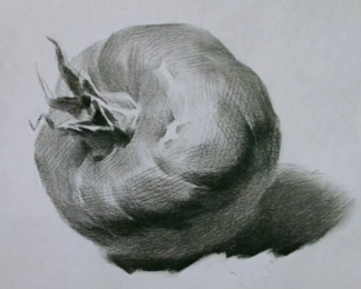 美术生艺考素描静物单体塑造——拳击手套