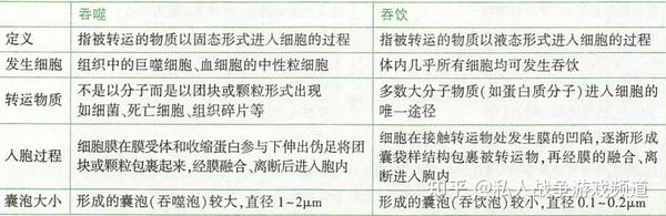 跨细胞膜的物质转运 - 知乎