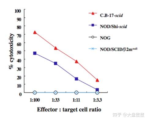 每天认识一种实验鼠--NOD SCID Mice - 知乎