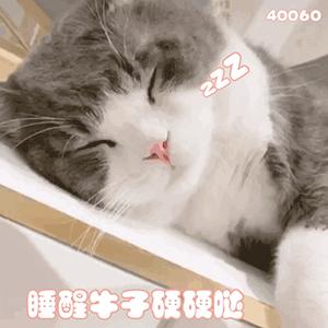 表情包 | 保佑保佑 让我发财