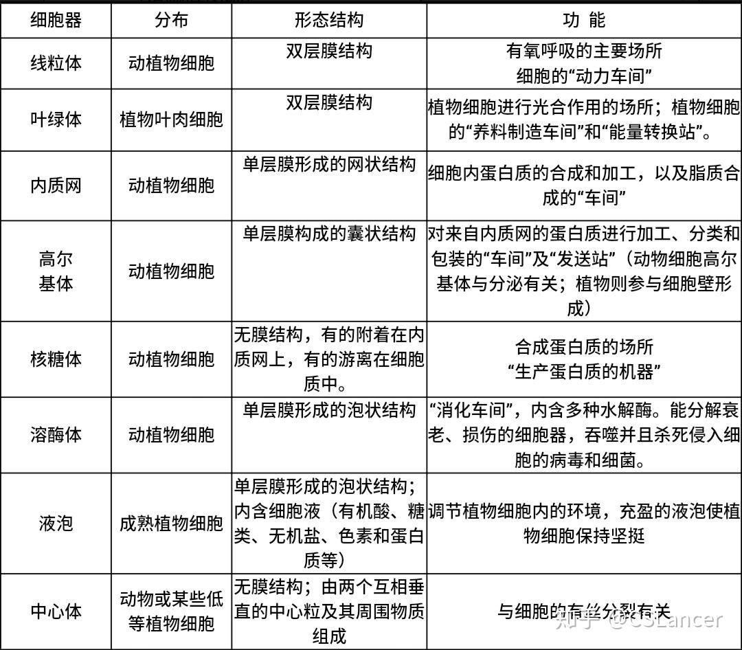 各种细胞器的功能? - 知乎
