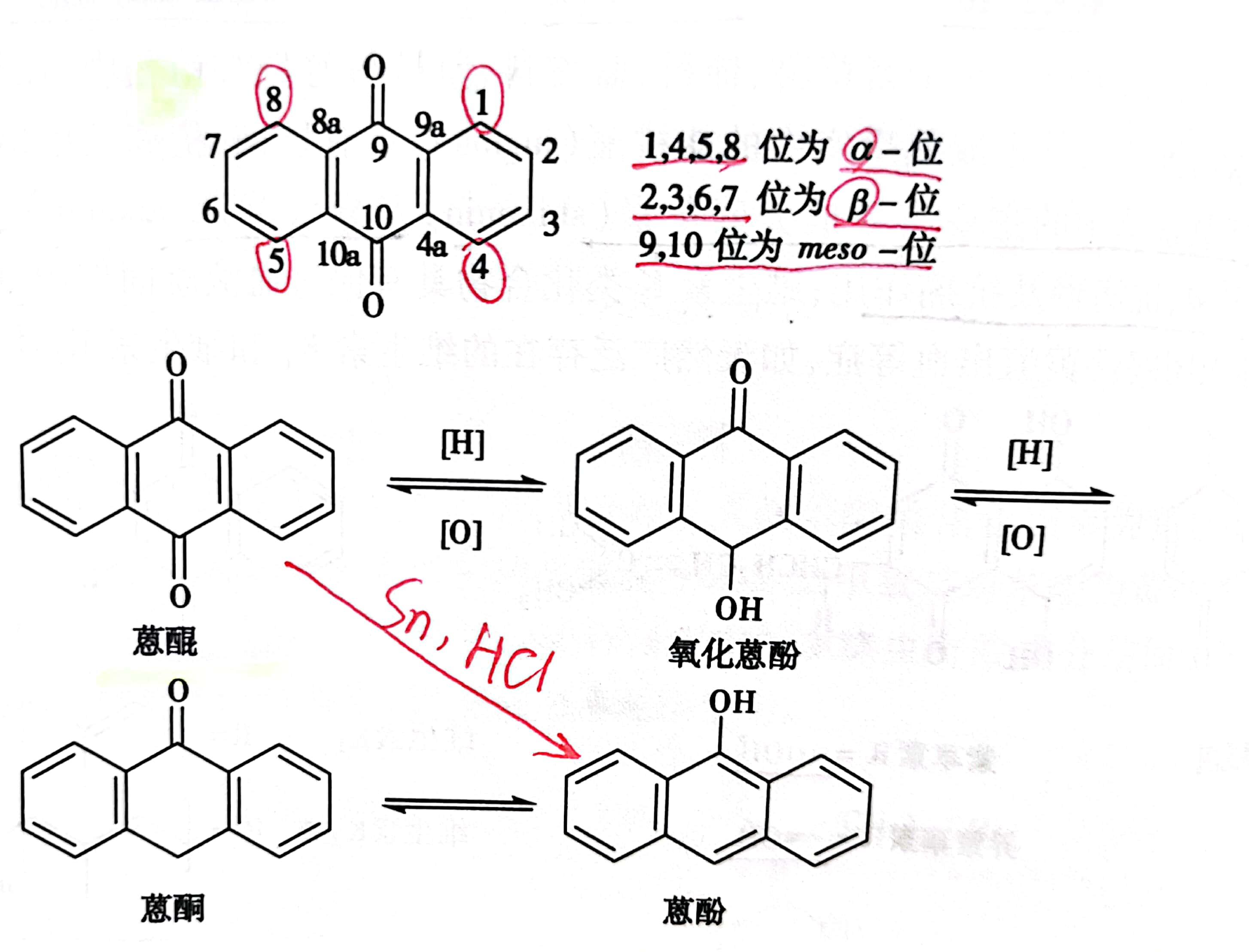 包括蒽醌衍生物和不同程度的还原产物