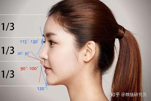 什么样的鼻子好看？