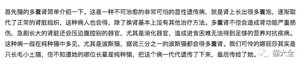 养加菲猫是在基因虐待 毒科普我不接受 知乎