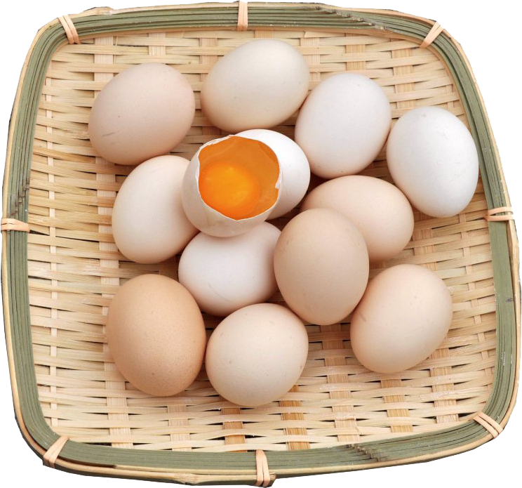 v2-c871debf7e5fd757a08242b3ad0d708c_1440w.jpg?source=172ae18b