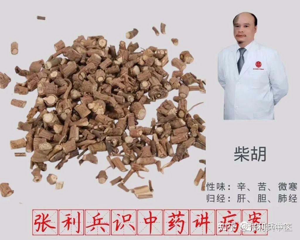 张利兵:“识中药讲病案” 第25讲之葛根和升麻的临床应用 - 知乎