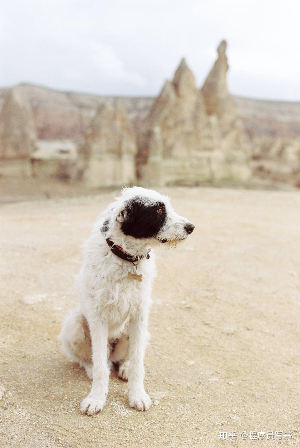 如何理解airflow中的execution_date 知乎