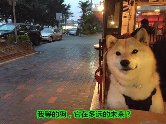 v2-c8a612b263ed97e1f18927ef0ec0e9d1_r.jpg