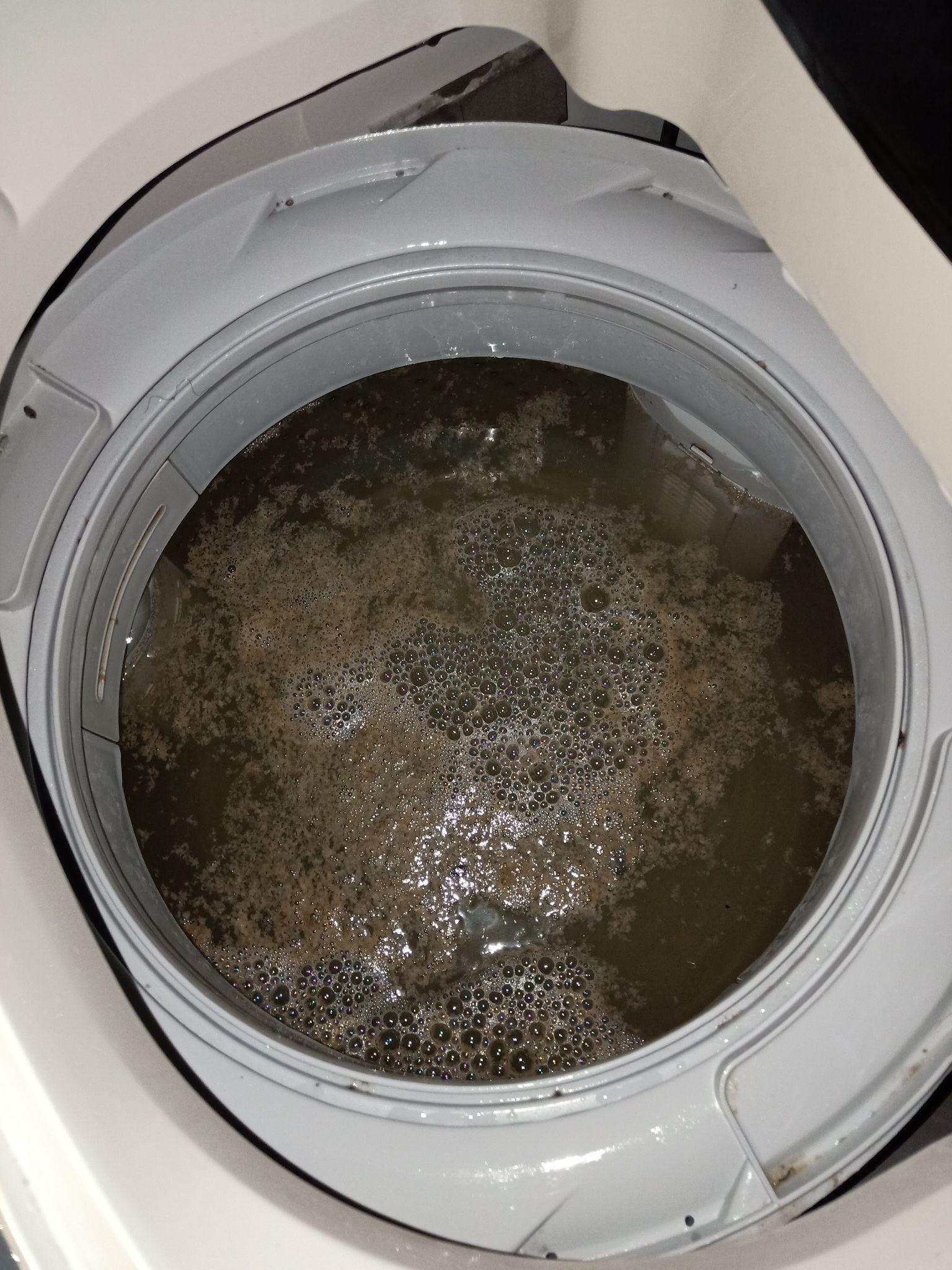洗衣机桶自洁功能怎么用（洗衣机桶自洁功能使用步骤） | 维修网