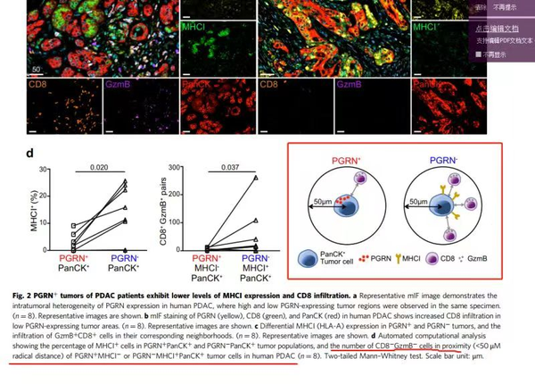 多重荧光免疫组化图像定量分析 - 知乎