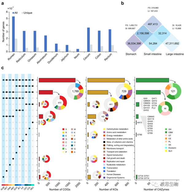 凌恩客户文章|《Microbiome》:宏基因组构建反刍动物全消化道超1万个MAGs新进展 - 知乎