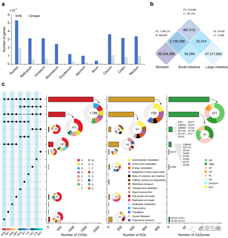 凌恩客户文章|《Microbiome》:宏基因组构建反刍动物全消化道超1万个MAGs新进展 - 知乎