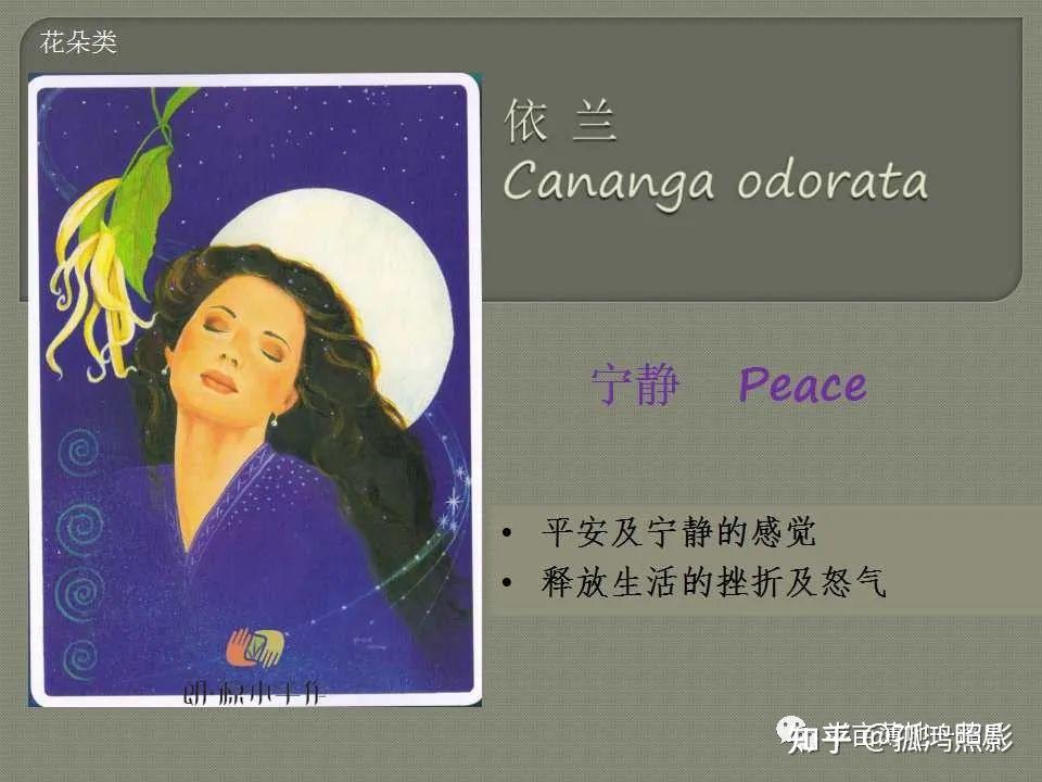 芳香植物油之四十二：依兰 - 知乎