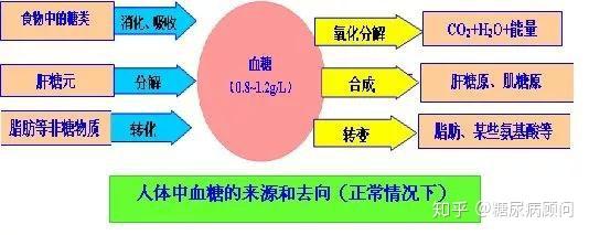 糖怎么来的过程图图片