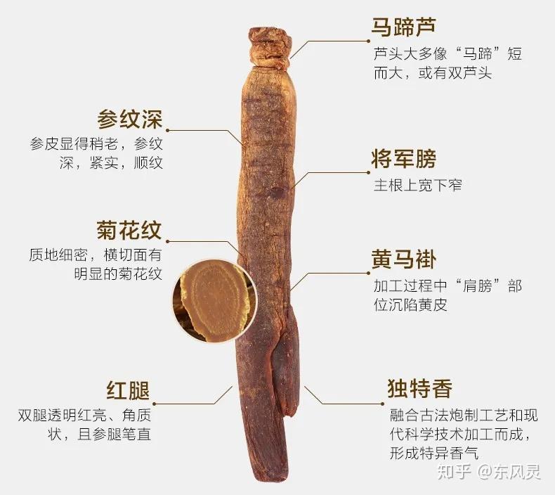 红参原来是这样选购的这些人群别吃