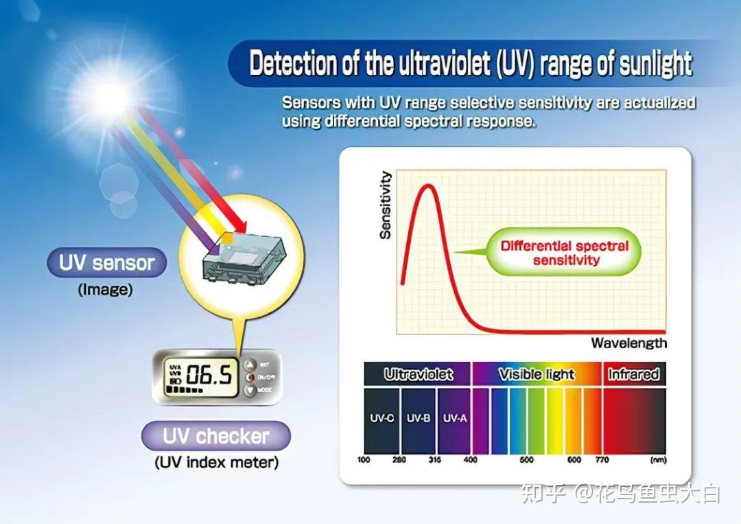 紫外光(UV)植物光生物学 - 知乎