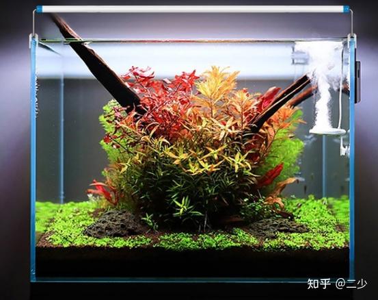 水草灯必须用全光谱的吗 用led灯养水草全死了 水草灯灯珠配比