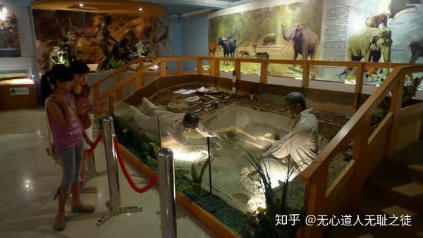 50万年云南元谋人 安徽东至人印尼桑义兰爪哇人颅骨萨拉乌苏河谷剖面水洞沟遗址遗址考古 知乎