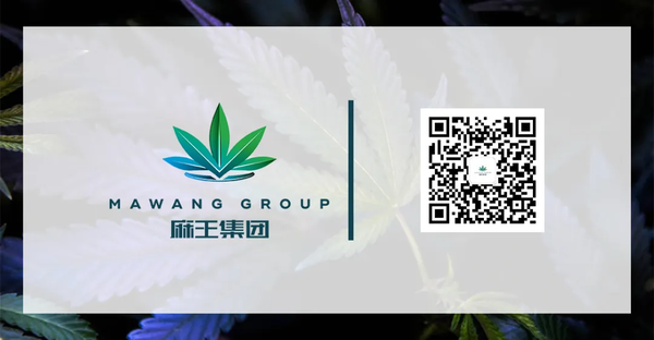 全球各国关于大麻的法律规定你了解吗 知乎