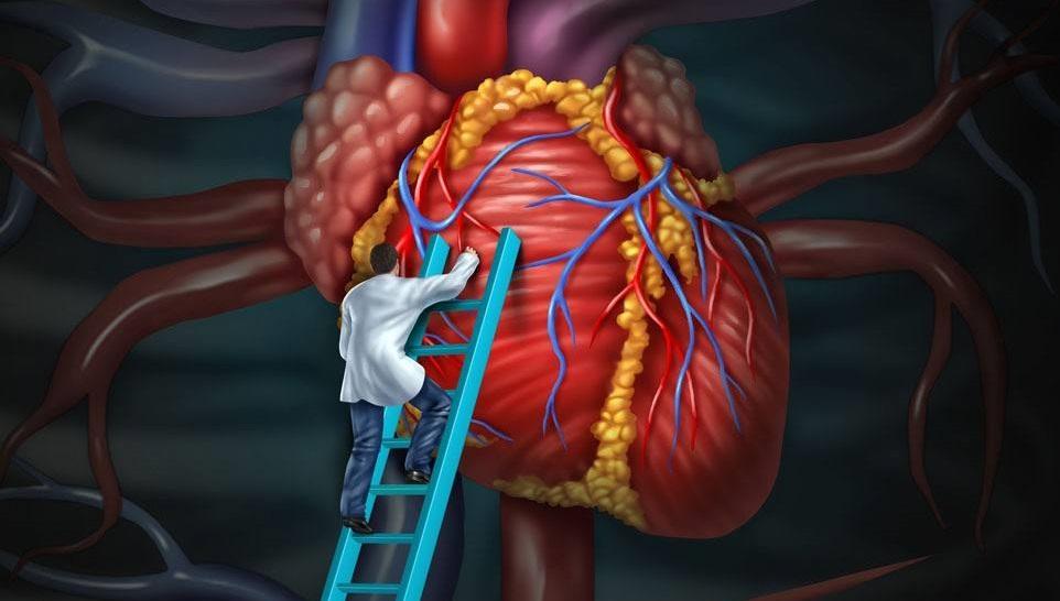 How Much Time Does It Take To Become A Heart Surgeon