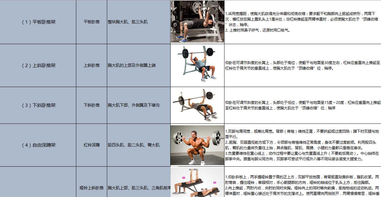 别瘫着了！5分钟拉伸让你放松全身身体会感谢你的