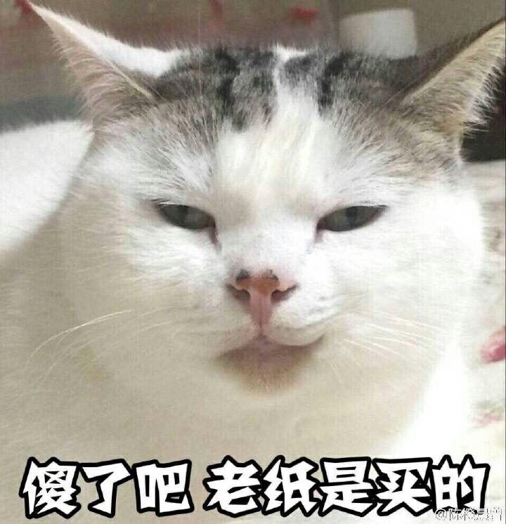云养猫是什么样的体验? - 知乎