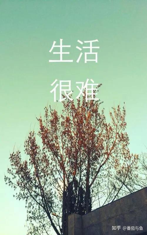 5,这个冬天有三好,天好冷,衣好贵,我好穷,4,感谢生活有剥夺也有馈赠3