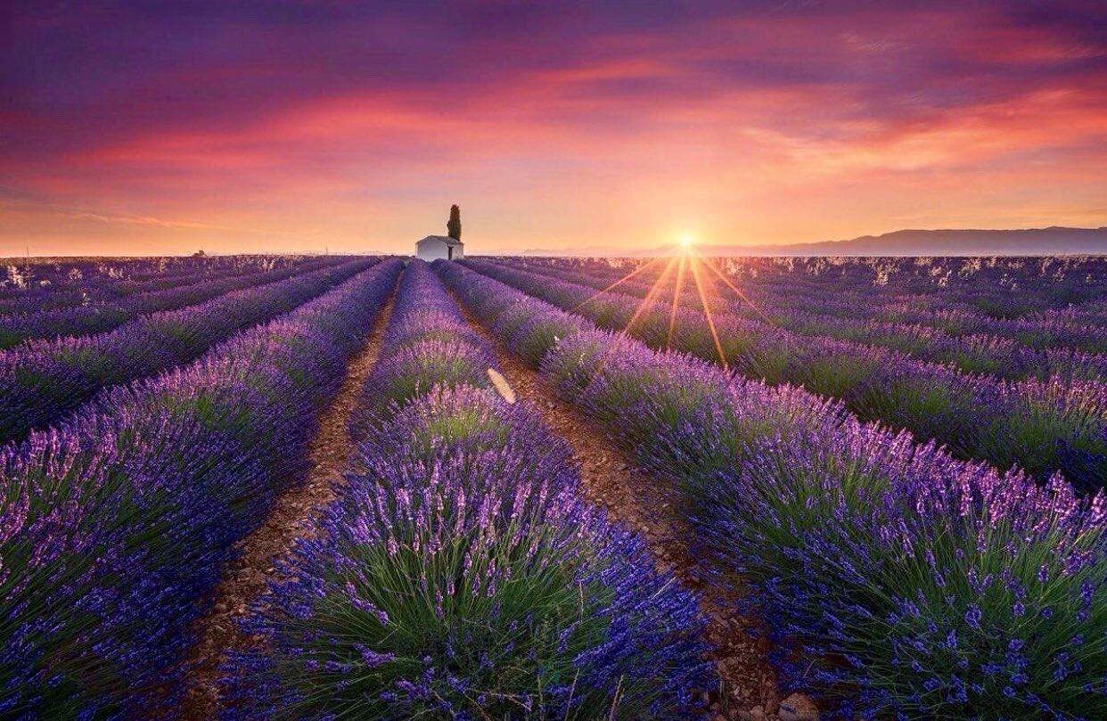 如何学习摄影初学者 v2-c92627ad91a817e76d453a126ccdb1e6_1440w.jpg?source=172ae18b