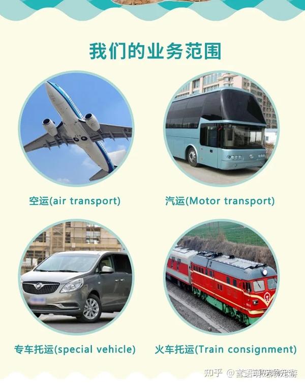 飞机托运宠物怎么收费 知乎