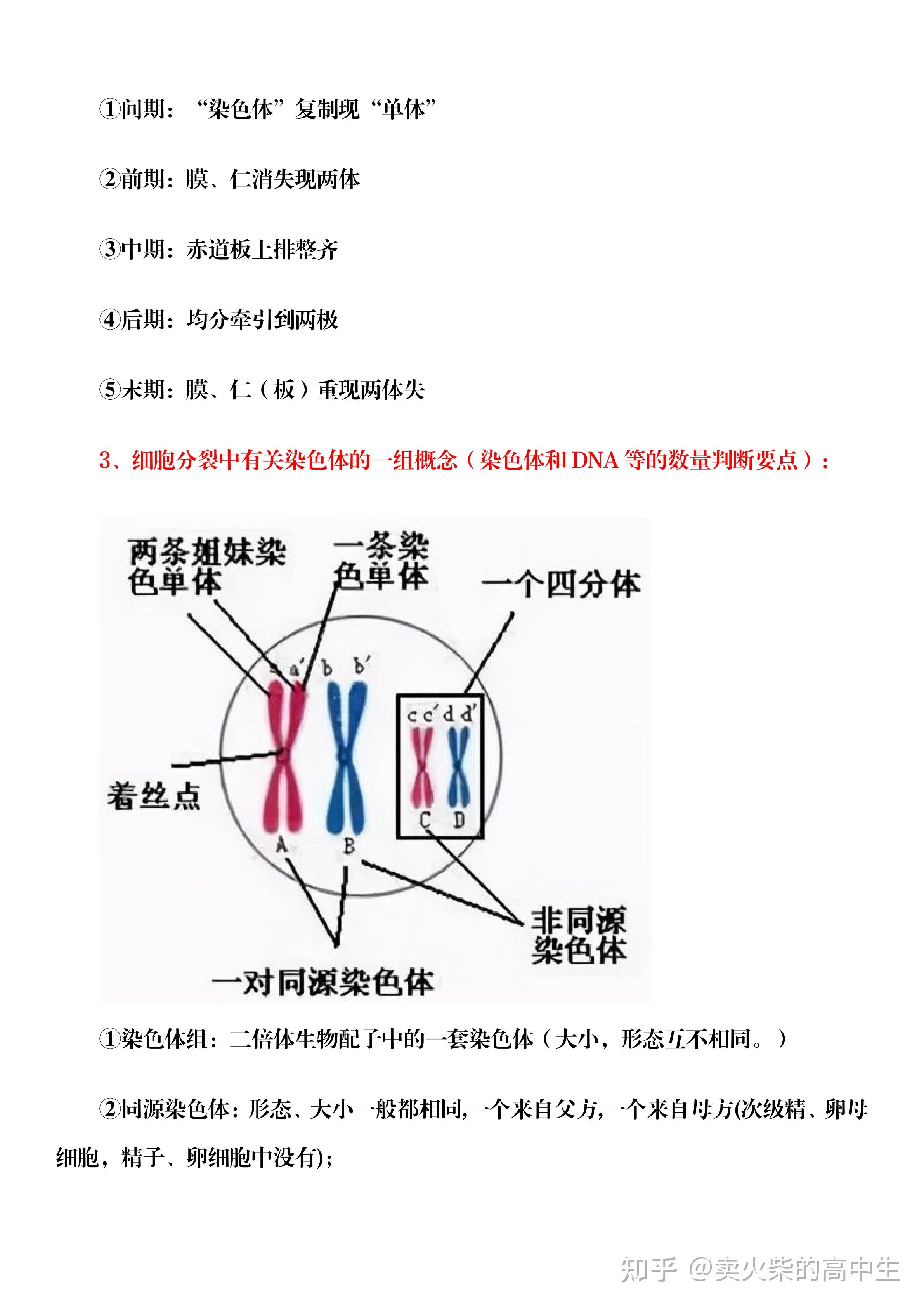 高中生物备考指南:如何快速区分有丝分裂和减数分裂?巧记方法!