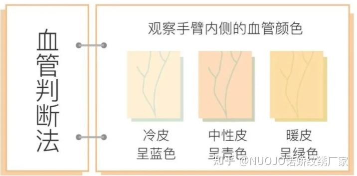 血管判断肤色冷暖