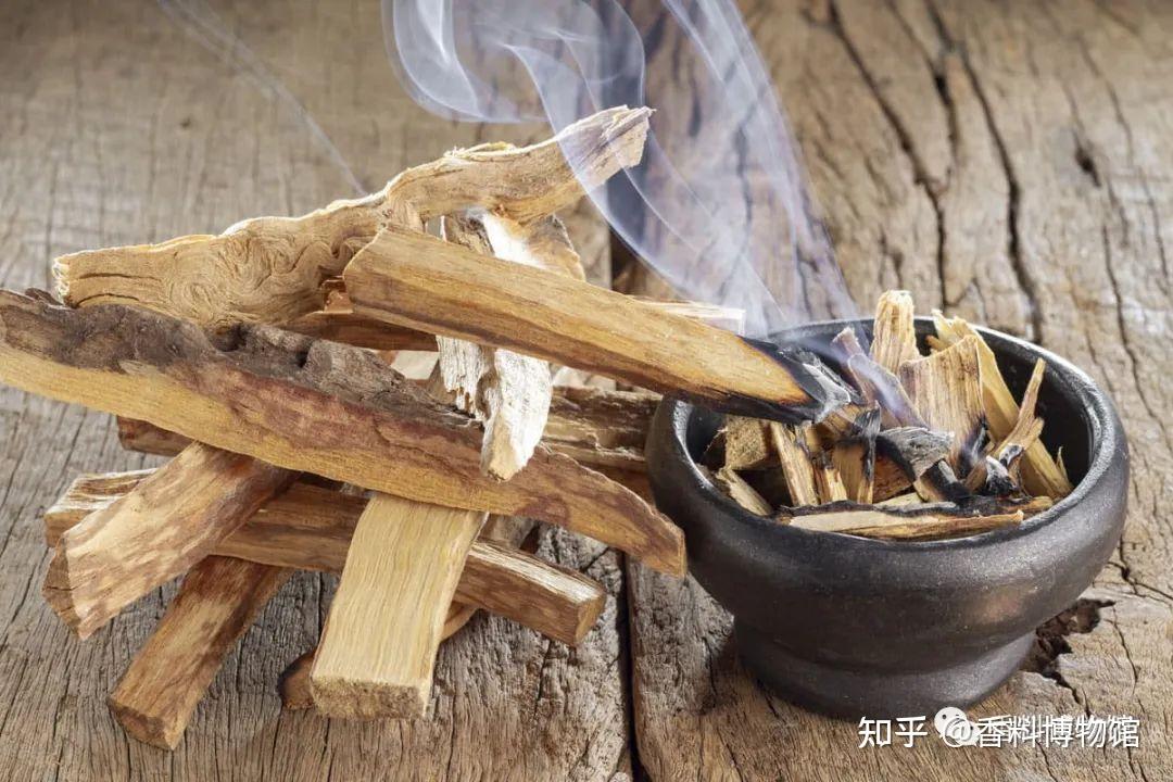 一种不神圣的神圣香料——秘鲁圣木 - 知乎