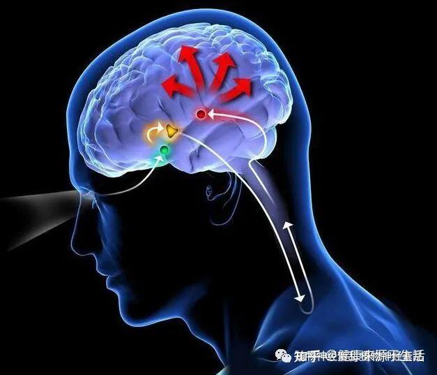 神经官能症是怎么回事 - 知乎