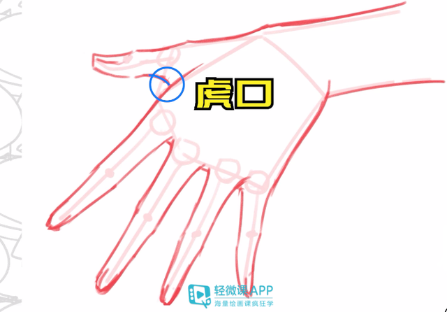 手怎么画详细教程,手怎么画才好看步骤 - 知乎